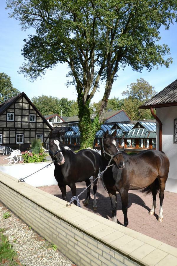Landhotel Hof Barrl Schneverdingen Zewnętrze zdjęcie