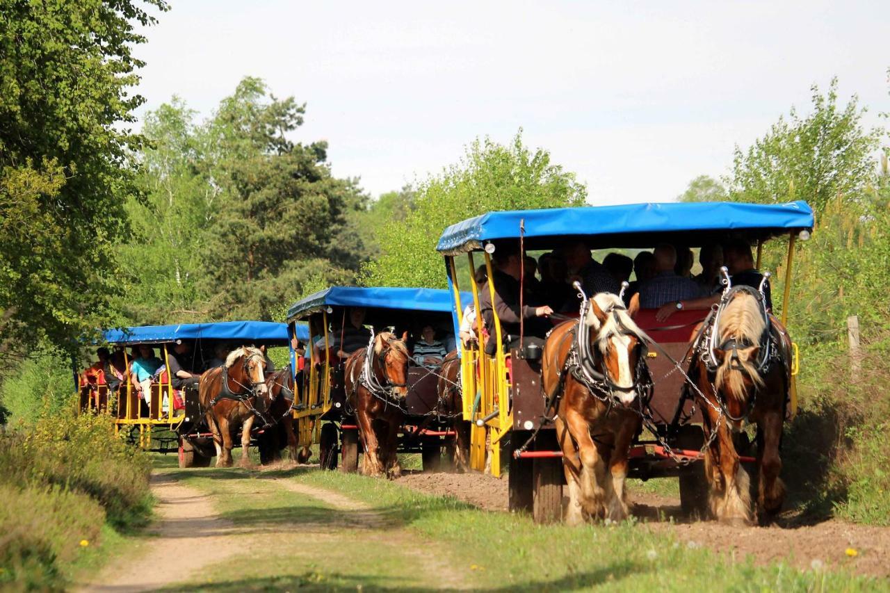 Landhotel Hof Barrl Schneverdingen Zewnętrze zdjęcie